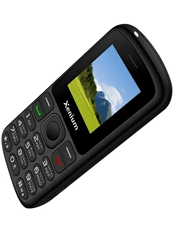 Мобильный телефон Xenium X160 черный (CTX160BK/00)
