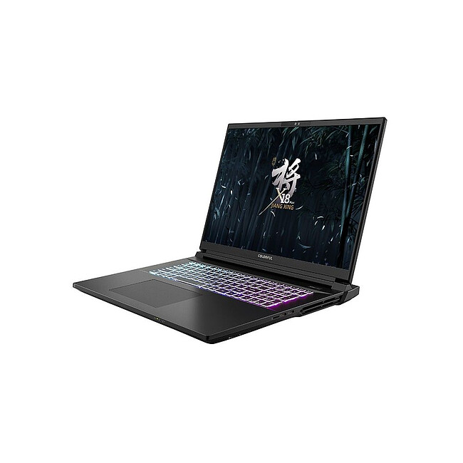 Ноутбук Colorful X18 Max-HA99A6404TJ-4EAA Black (A10207000031)
