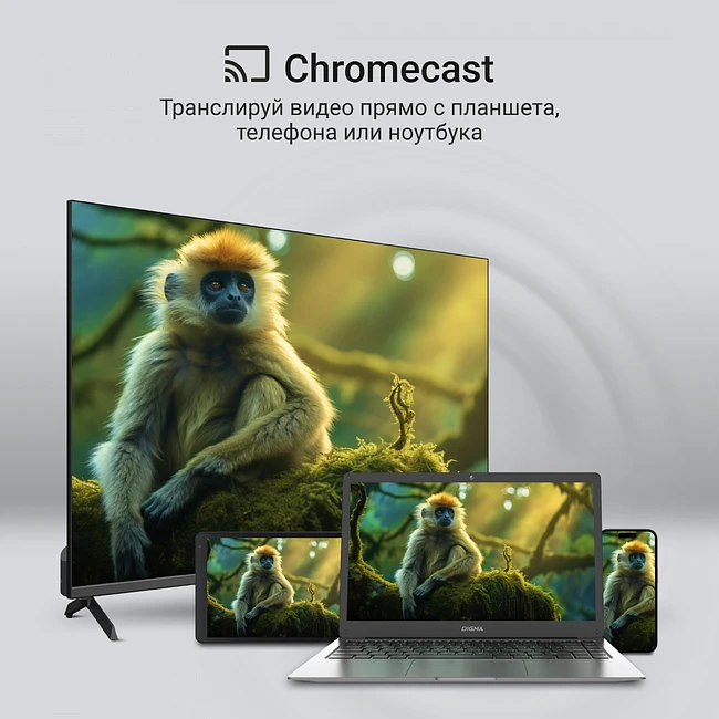 Телевизор Digma DM-LED65UQB31 черный/черный