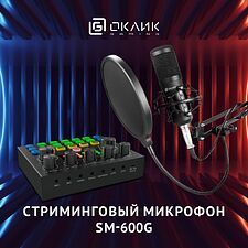 Микрофон Oklick SM-600G черный (1796784)