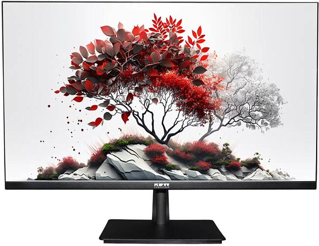 Монитор RDW Computers RDW2701K черный (RDW2701K/F00В0100V2A1) Монитор RDW Computers RDW2701K черный (RDW2701K/F00В0100V2A1)