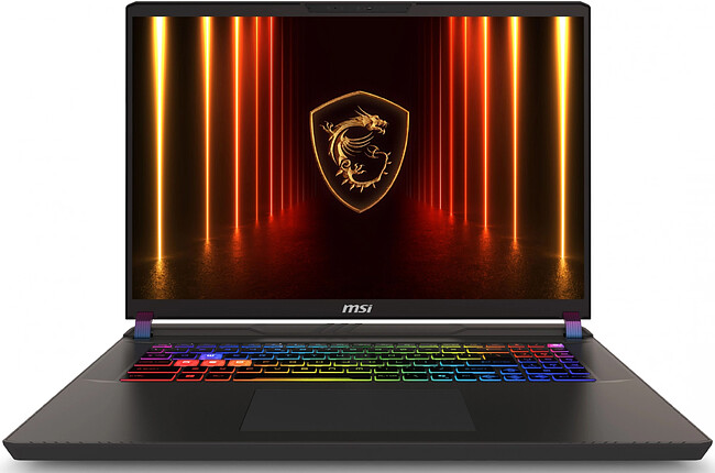 Ноутбук MSI Vector 17 HX AI A2XWIG-063XRU Cosmos Gray (9S7-17S372-063)