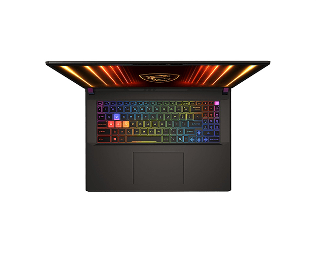 Ноутбук MSI MS-17S3 Vector 17 HX AI A2XWHG-240XRU Cosmos Gray (9S7-17S372-240)