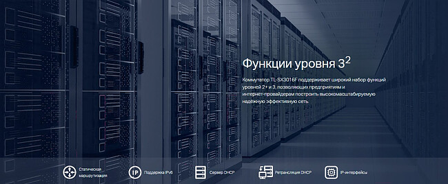 Коммутатор TP-Link TL-SX3016F