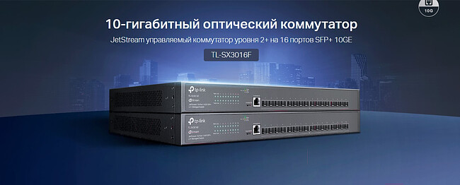 Коммутатор TP-Link TL-SX3016F