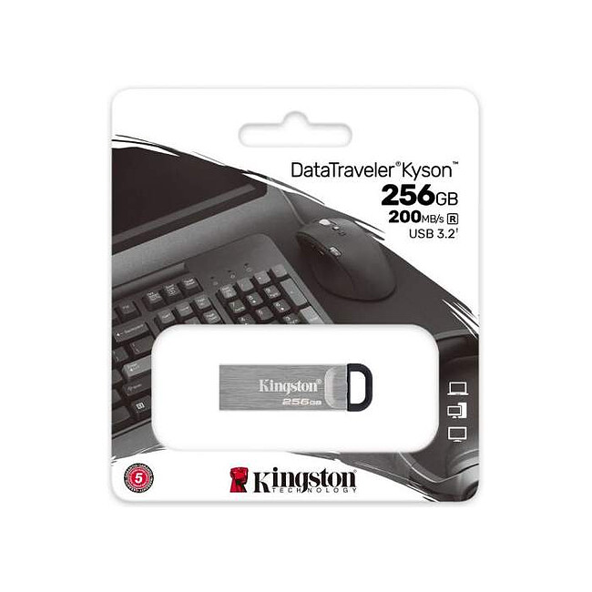 USB Flash-накопитель Kingston DataTraveler Kyson 256GB металл серебристый (DTKN/256GB)
