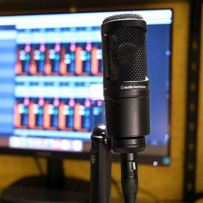 Микрофон Audio-Technica AT2020