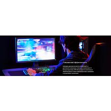 Оперативная память Kingston Fury Beast Black 32Gb DDR5 (KF560C36BBE-32)