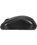 Мышь Logitech B175 черный (910-004332)