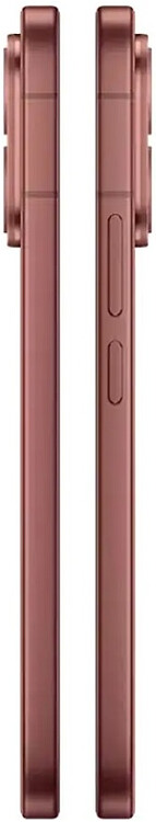 Смартфон Vivo V70 8GB/256GB Brown (V2538)