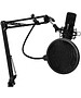 Микрофон Ritmix RDM-169