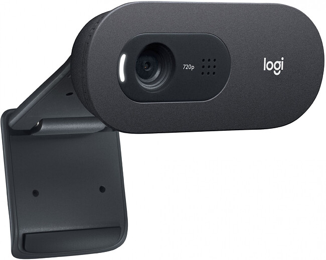 Веб-камера Logitech C505e (960-001372)
