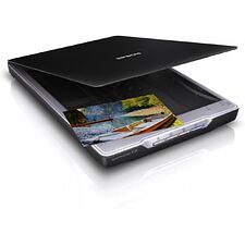 Сканер Epson Perfection V19 (B11B231401)