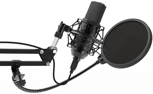 Микрофон Ritmix RDM-169