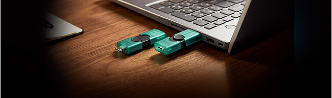 USB Flash-накопитель Kingston DataTraveler Duo 256GB (DTDEG2/256GB)