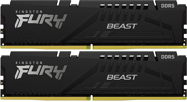 Оперативная память Kingston Fury Beast Black Expo 64Gb DDR5 Black (KF560C36BBEK2-64)