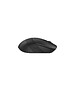 Мышь A4Tech Fstyler FB10CS Stone Black