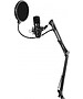 Микрофон Ritmix RDM-169