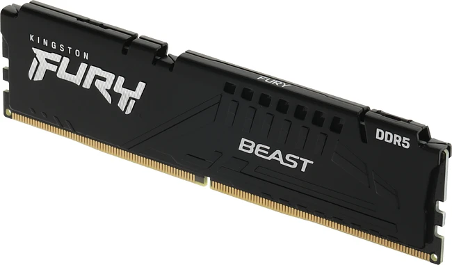 Оперативная память Kingston Fury Beast Black Expo 64GB DDR5 (KF552C40BB2K2-64)