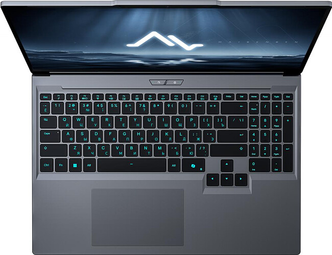 Ноутбук Maibenben X16C Grey (X16C-i544550F44LG4E10)