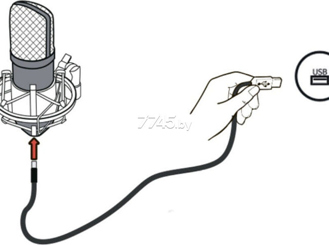 Микрофон Ritmix RDM-180