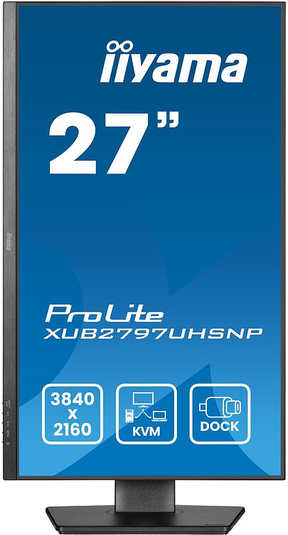 Монитор Iiyama ProLite XUB2797UHSNP-B1 черный