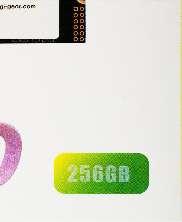 SSD диск AGI AGI256G16AI198 (610194)