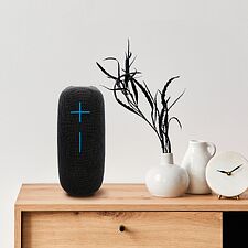 Портативная колонка SunWind SW-PS106 черный