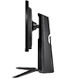 Монитор LG UltraGear 24GS65F-B