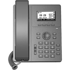 IP-телефон Flying Voice P10W серый