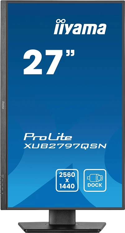 Монитор Iiyama ProLite XUB2797QSN-B2 черный