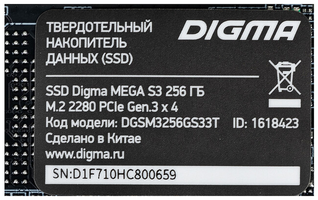 SSD диск Digma Mega S3 256GB (DGSM3256GS33T)
