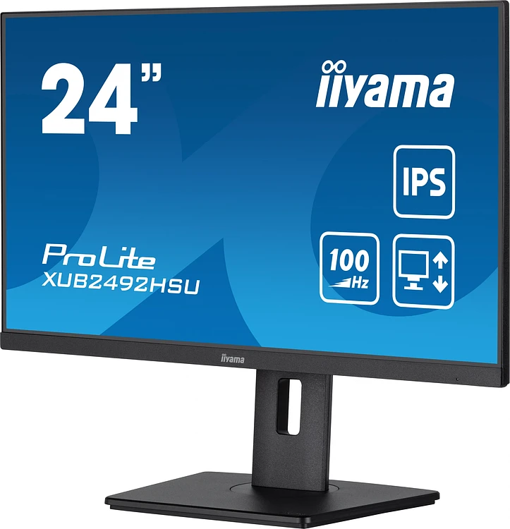 Монитор Iiyama ProLite XUB2492HSU-B6 черный
