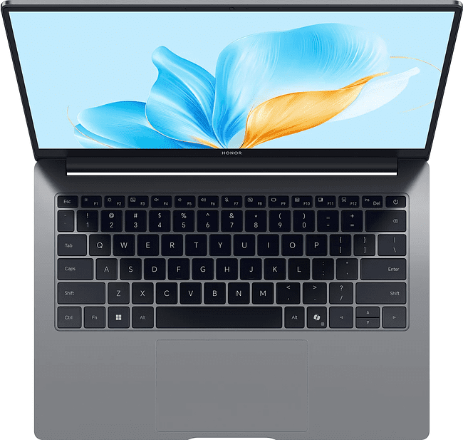 Ноутбук Honor MagicBook X14 Plus 2025 FRB-X Space Gray (5301ALWC)