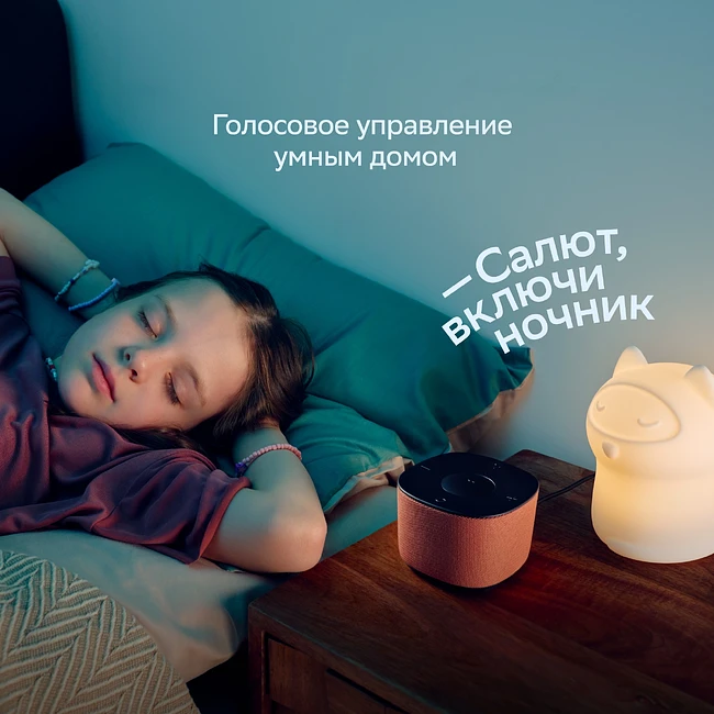 Умная колонка Sber Boom Home серый (SBDV-00171G)