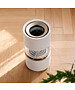 Увлажнитель воздуха SmartMi Humidifier Rainforest международная версия (CJJSQ06ZM)