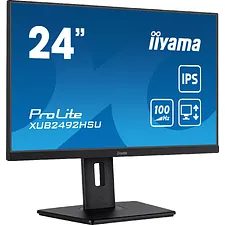 Монитор Iiyama ProLite XUB2492HSU-B6 черный