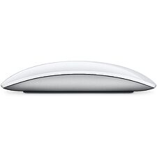Мышь Apple Magic Mouse A3204 белый (MXK53ZE/A)
