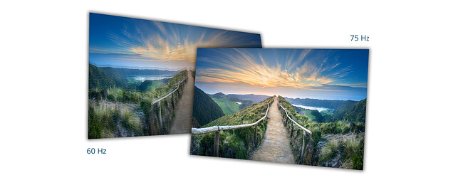 Монитор AOC Q24V4EA