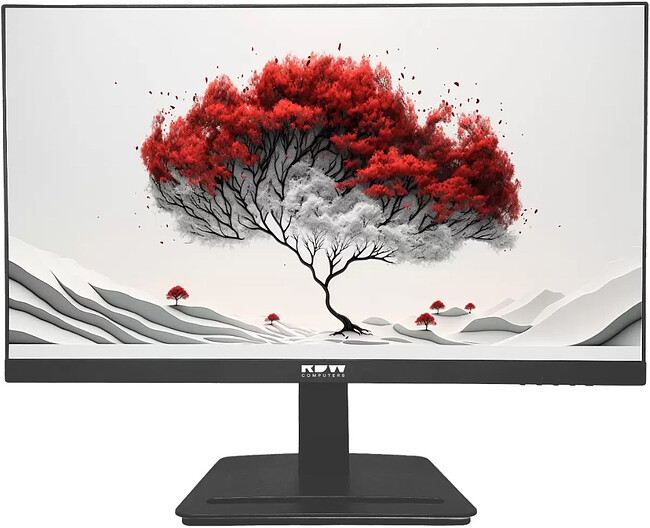 Монитор RDW Computers RDW2401K черный (F08В3120V2A1B)
