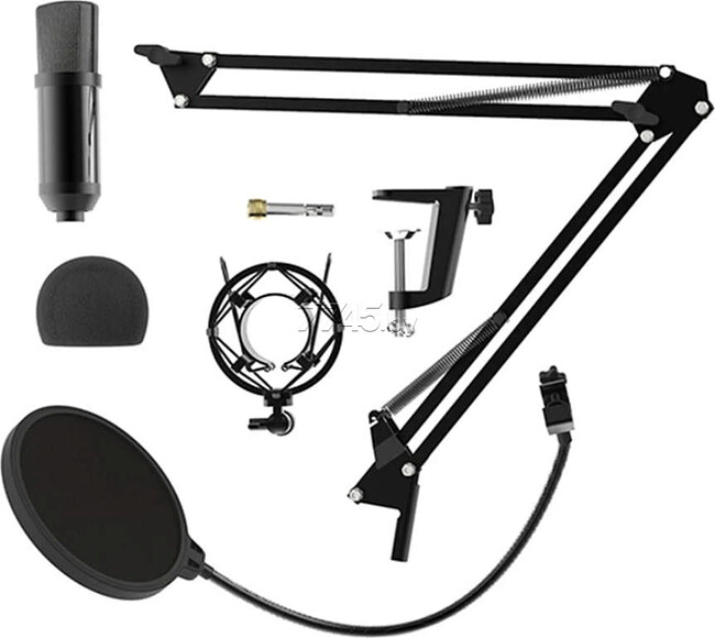 Микрофон Ritmix RDM-180