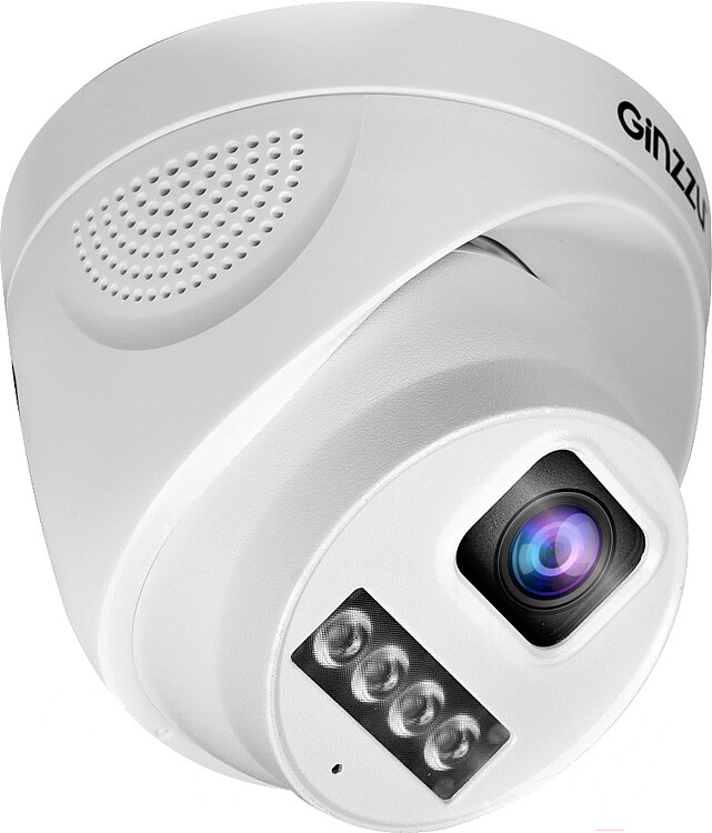 Камера видеонаблюдения Ginzzu HID-4301A