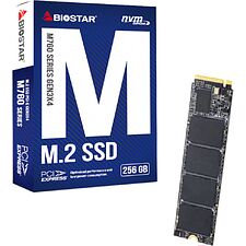 SSD диск Biostar M760 256GB