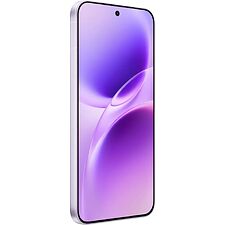 Смартфон Vivo X300FE 5G 12GB/512GB холодный лиловый (V2537)