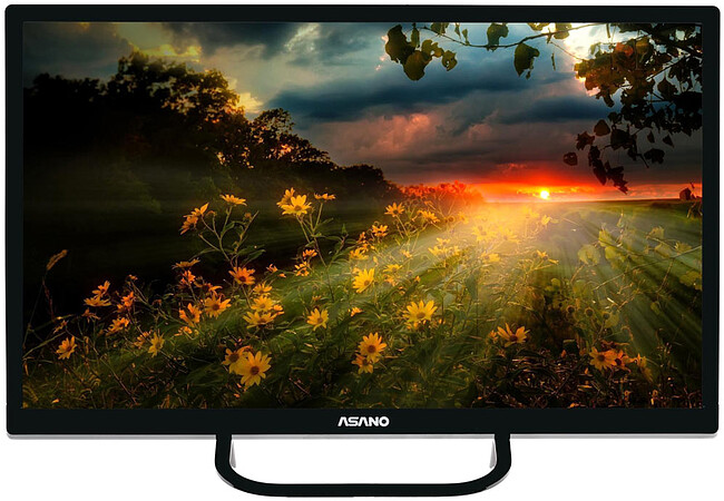 Телевизор Asano 24LH1110T