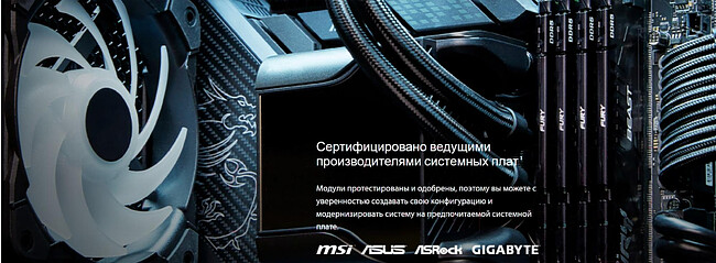 Оперативная память Kingston Fury Beast Black (KF552C40BB-32)