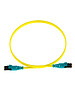 Патч-корд Panduit F92ELQ1Q1SNM002 2м
