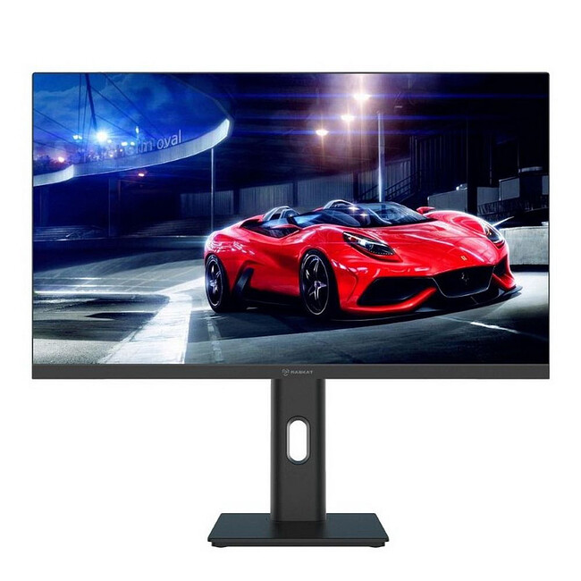 Монитор Raskat I24F10DAP