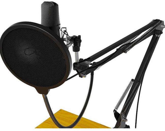 Микрофон Ritmix RDM-169