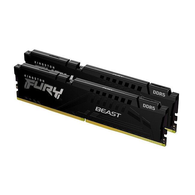 Оперативная память Kingston Fury Beast Black RTL Gaming DDR5 2x32GB (KF556C36BBEK2-64)
